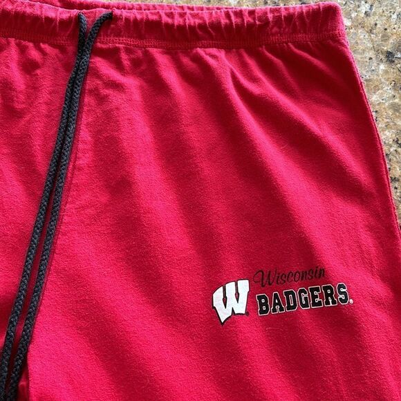 Vintage sideline Wisconsin Badgers Loose Fit Sweatpants Red wide leg size large - Picture 3 of 11